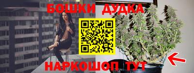 прущие грибы Жуковский